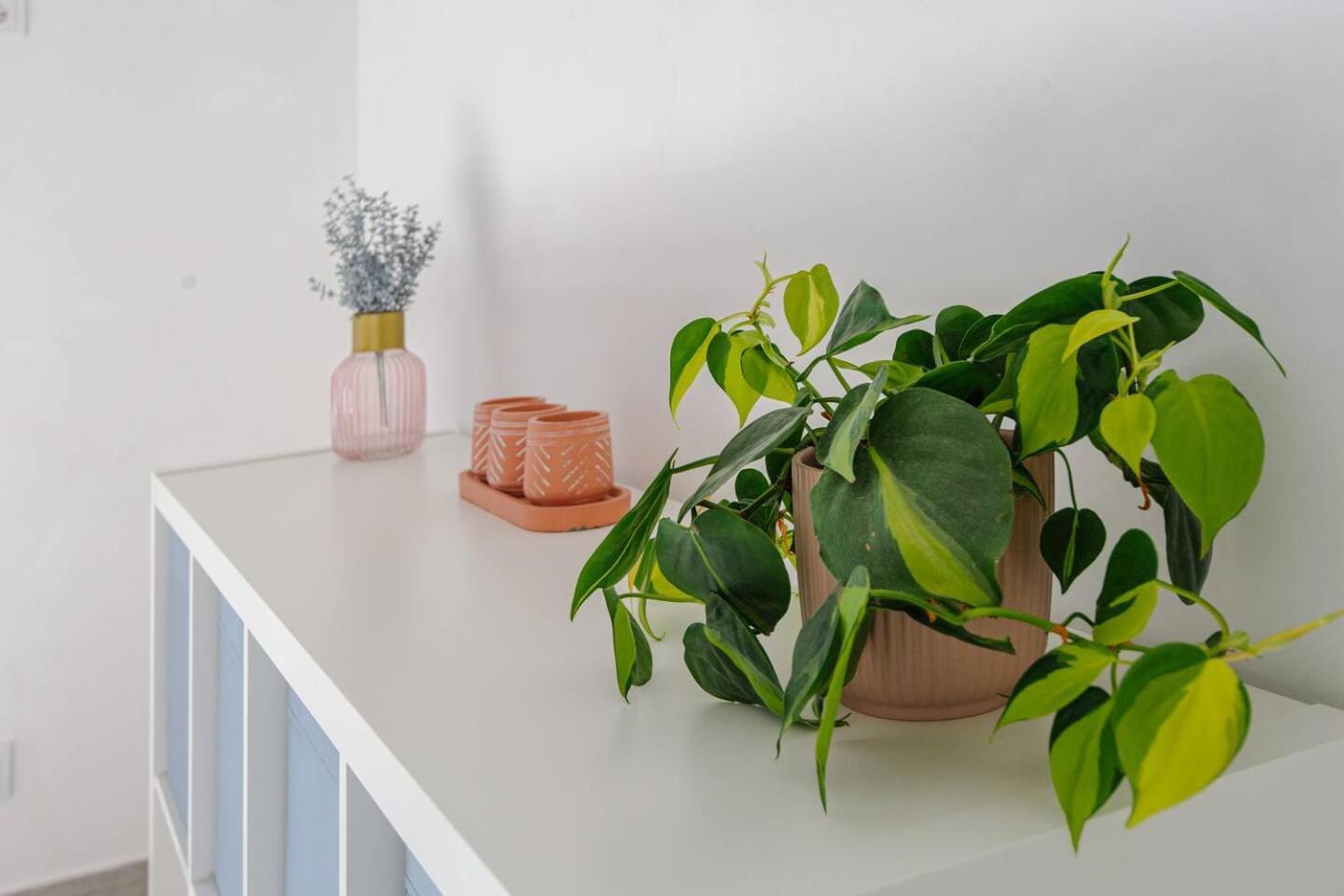Apartamento Sweet Iii - Free Parking